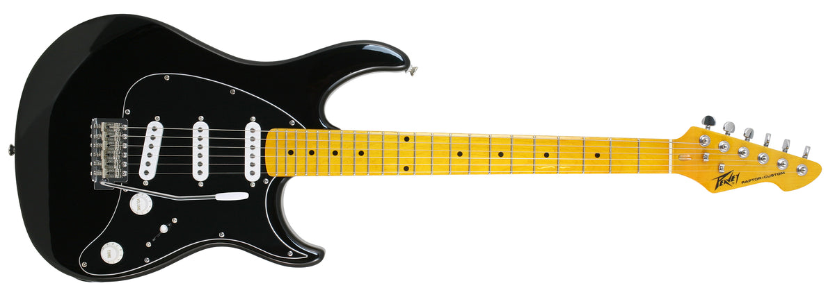 Raptor® Custom Black Electric Guitar image 0