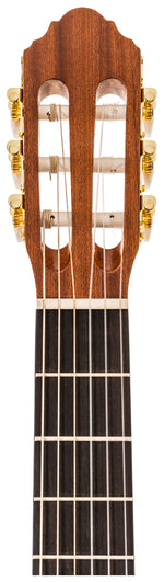 Delta Woods® CNS-1™ Classical Nylon String Guitar image 5