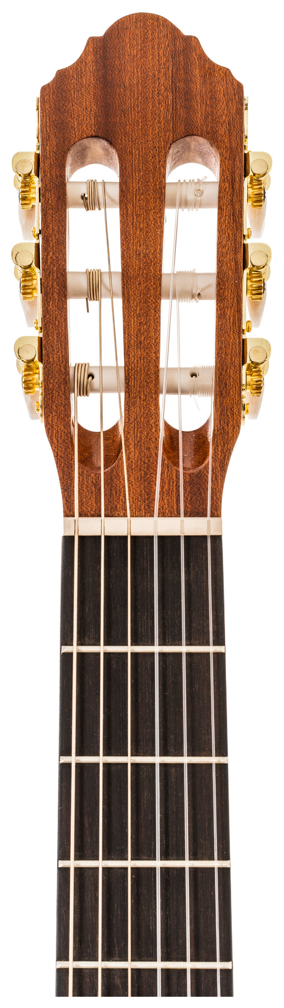 Delta Woods® CNS-1™ Classical Nylon String Guitar image 5
