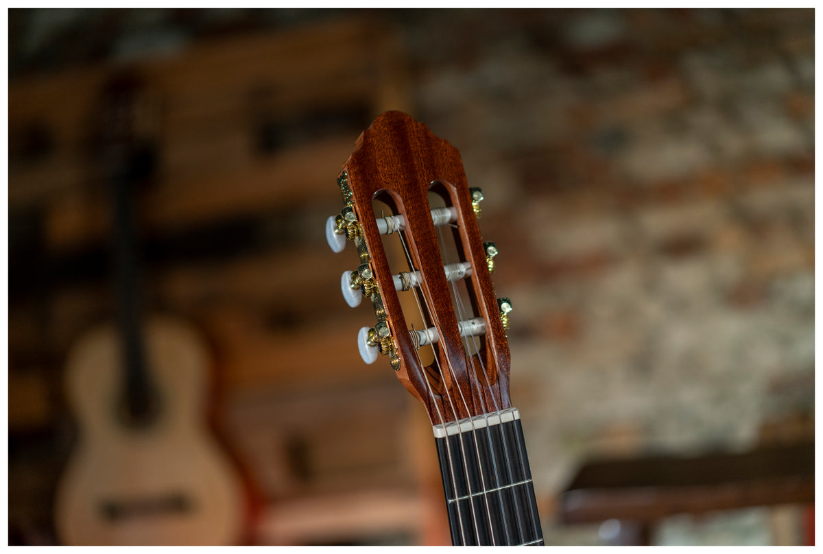 Delta Woods® CNS-CE™ Classical Nylon String Guitar with Electronics image 11