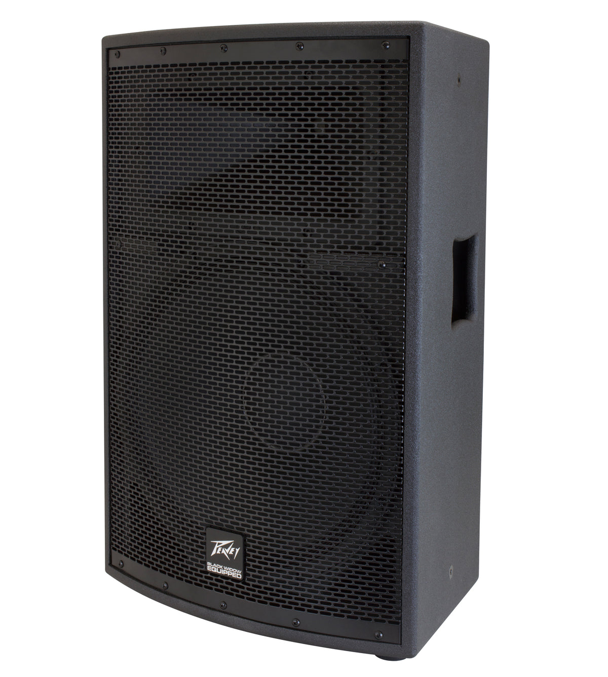SP® 2 2-Way PA Speaker image 2