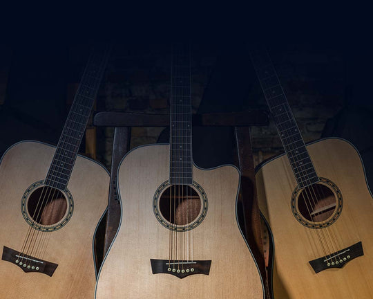 Acoustic Guitars | Peavey