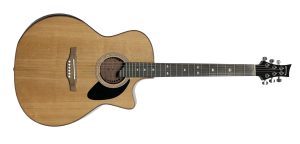 Riversong Dragon Slayer P555-CE A Acoustic Guitar