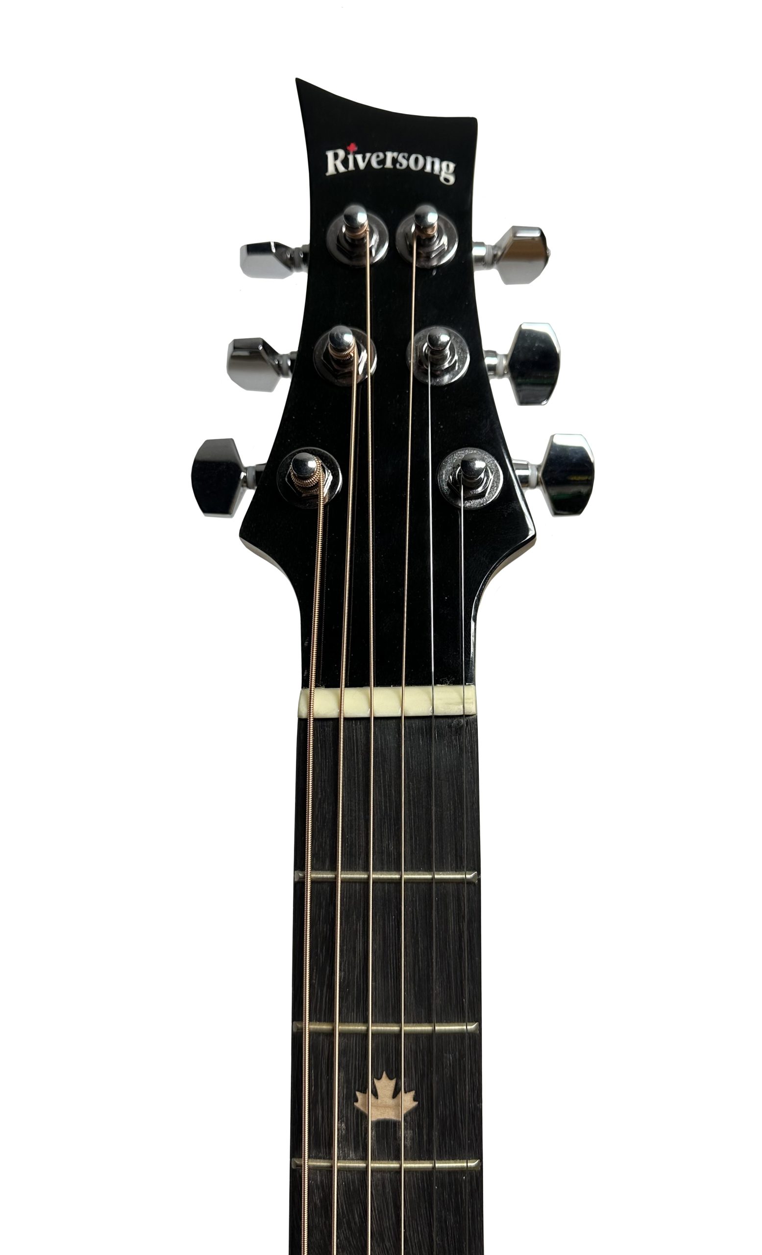 ギター REVguitars RAY8 Essingun Riversong Dragon Slayer P555-CE A Acoustic Guitar - Peavey