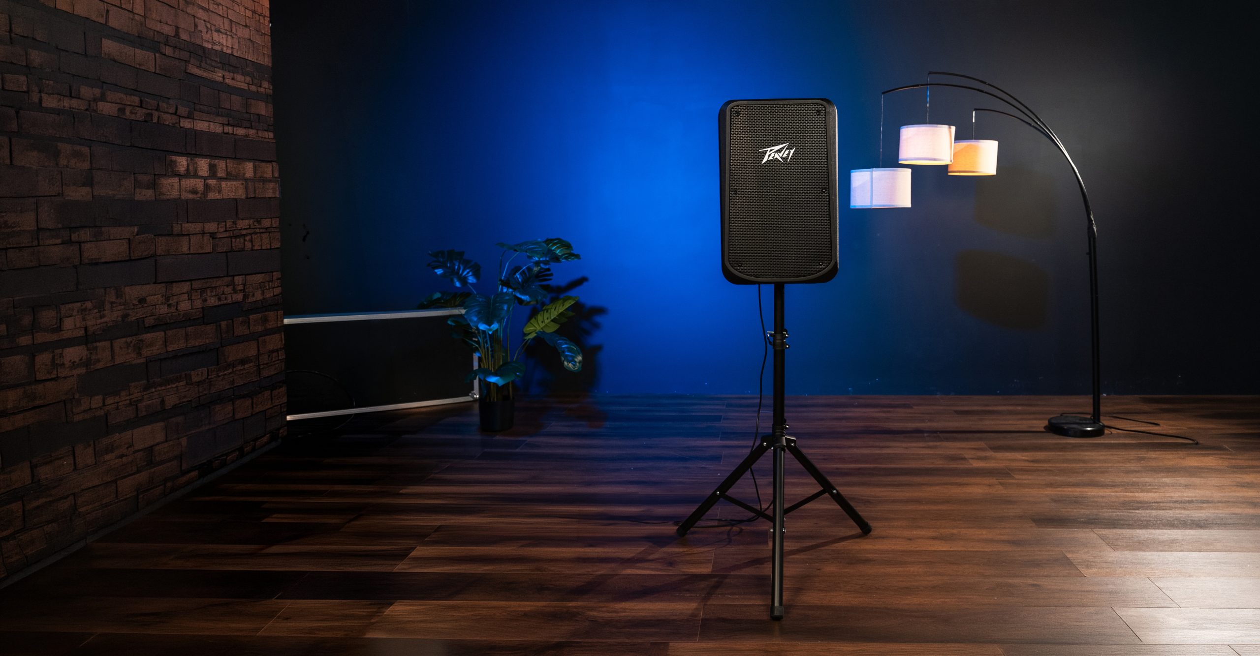 PBK™ 12BT Powered Speaker System - Peavey